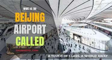 Beijing's Airport: Name and All You Need to Know