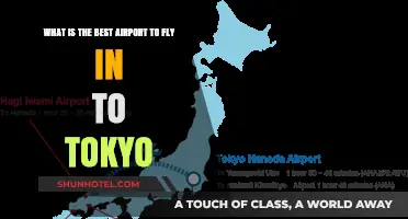 Top Tokyo Airport Guide: Which Hub Best Suits Your Travel?