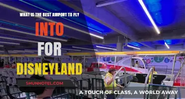 Top Airport Choices for Easy Access to Disneyland Adventures