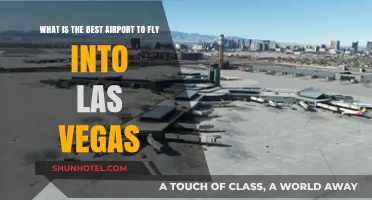 Top Las Vegas Airport Guide: Best Flight Options for Sin City