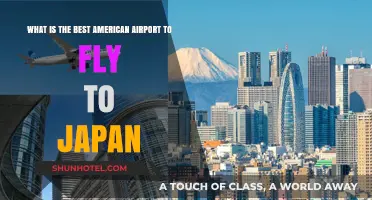 Top US Airports for Seamless Flights to Japan: A Traveler's Guide