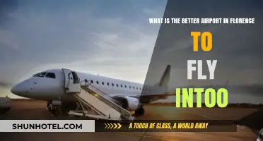 Florence Airport Guide: Which Hub Offers the Best Travel Experience?
