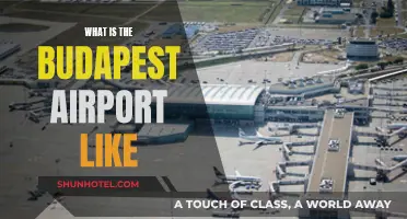 Budapest Airport: A Traveler's First Impression