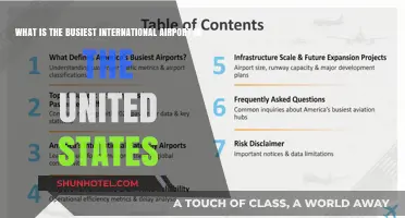 Discovering America's Busiest International Airport: A Travel Hub Revealed
