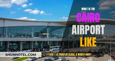 Cairo Airport: A Traveler's First Impression