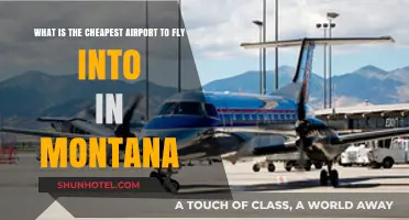 Budget-Friendly Montana Travel: Discover the Cheapest Airport to Fly Into