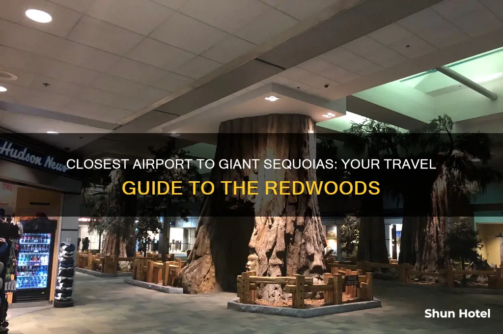 what is the closest airport to giant sequoias