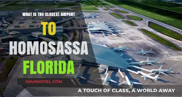 Closest Airport to Homosassa, Florida: Your Ultimate Travel Guide