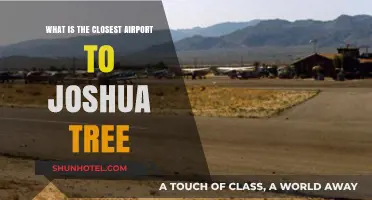 Closest Airport to Joshua Tree: Your Ultimate Travel Guide