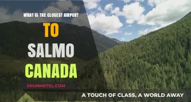 Closest Airport to Salmo, Canada: Quick Guide
