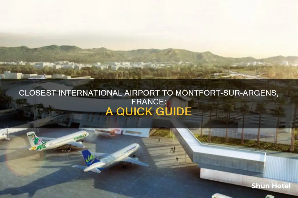 what is the closest international airport to montfort-sur-argens france