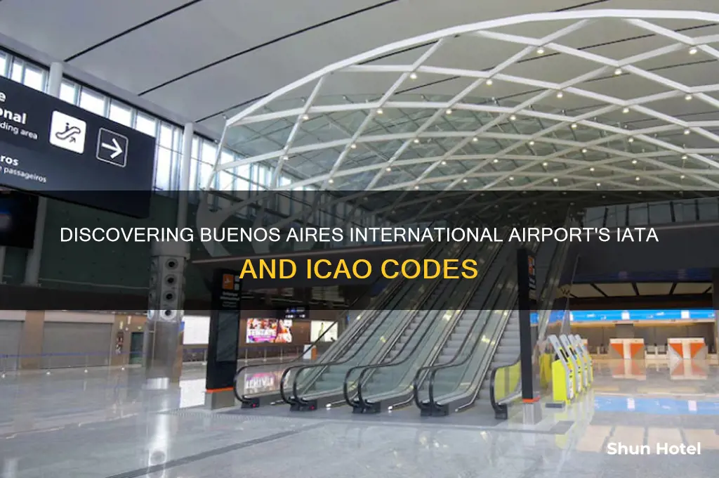 what is the code for buenos aires international airport