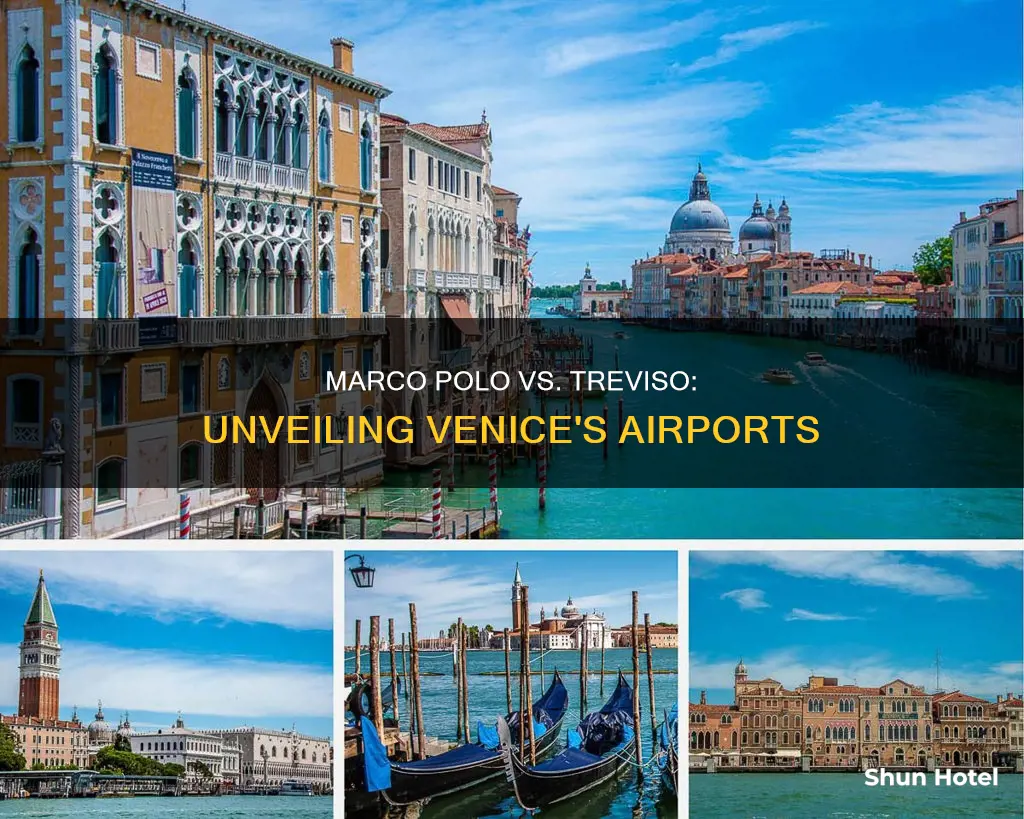 what is the differencein venice airports