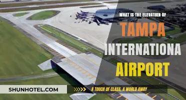 Tampa International Airport's Elevation: Key Facts and Figures Revealed