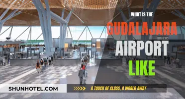 A Traveler's Guide to Guadalajara Airport
