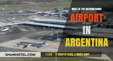 Discovering Argentina's Main International Airport: A Comprehensive Guide