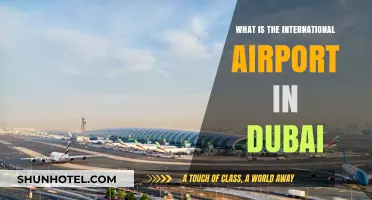 Discovering Dubai's Global Gateway: The International Airport Explained
