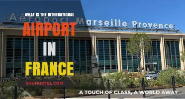 Discovering France's Main International Airport: A Comprehensive Guide
