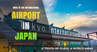 Discovering Japan's Main International Airport: A Comprehensive Guide