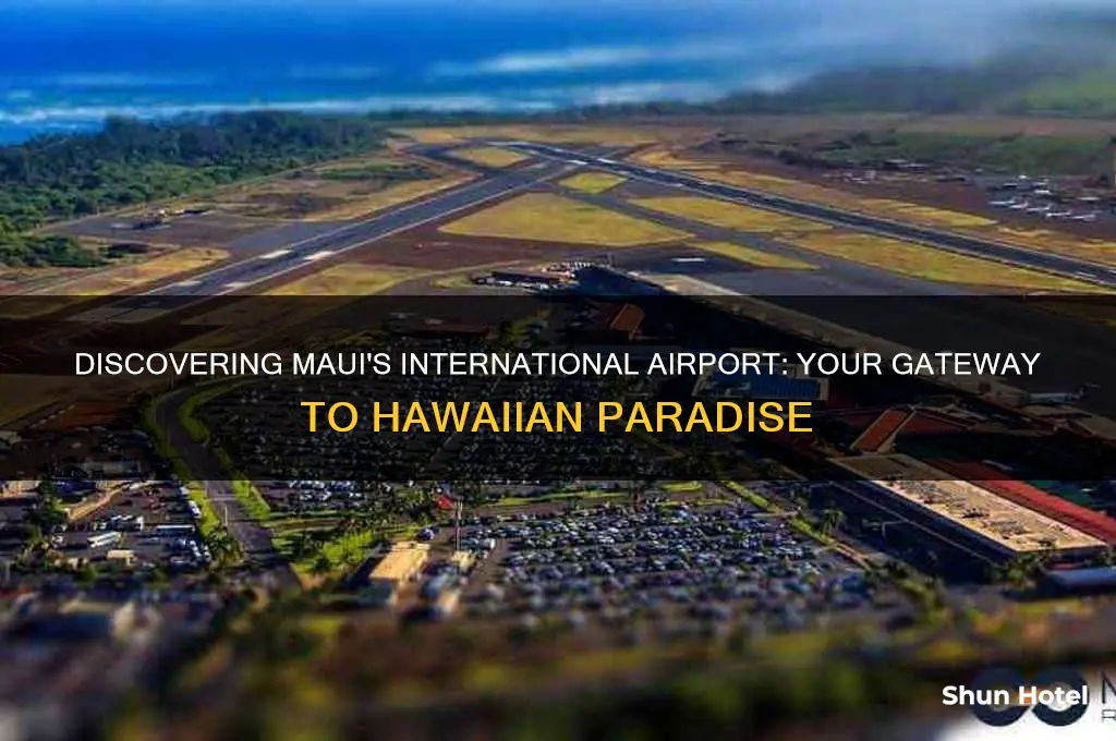 what is the international airport in maui