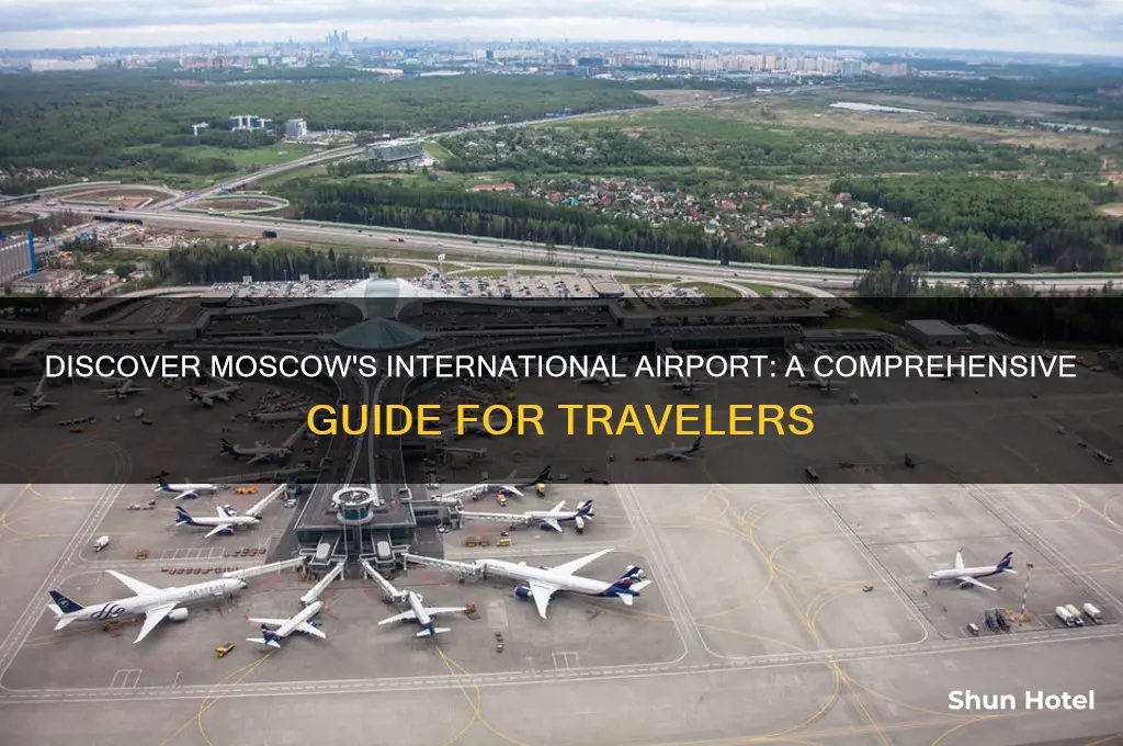 what is the international airport in moscow