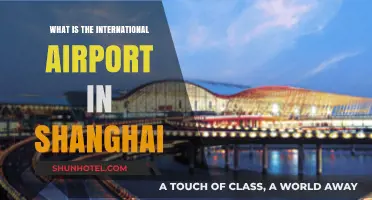 Exploring Shanghai's Main International Airport: A Comprehensive Guide
