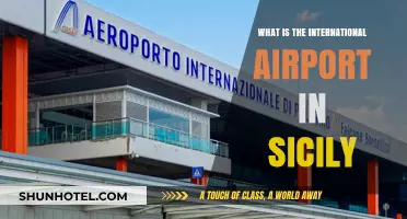 Discovering Sicily's Main International Airport: A Traveler's Guide