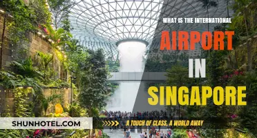 Discover Singapore's Changi Airport: A Global Travel Hub Explained