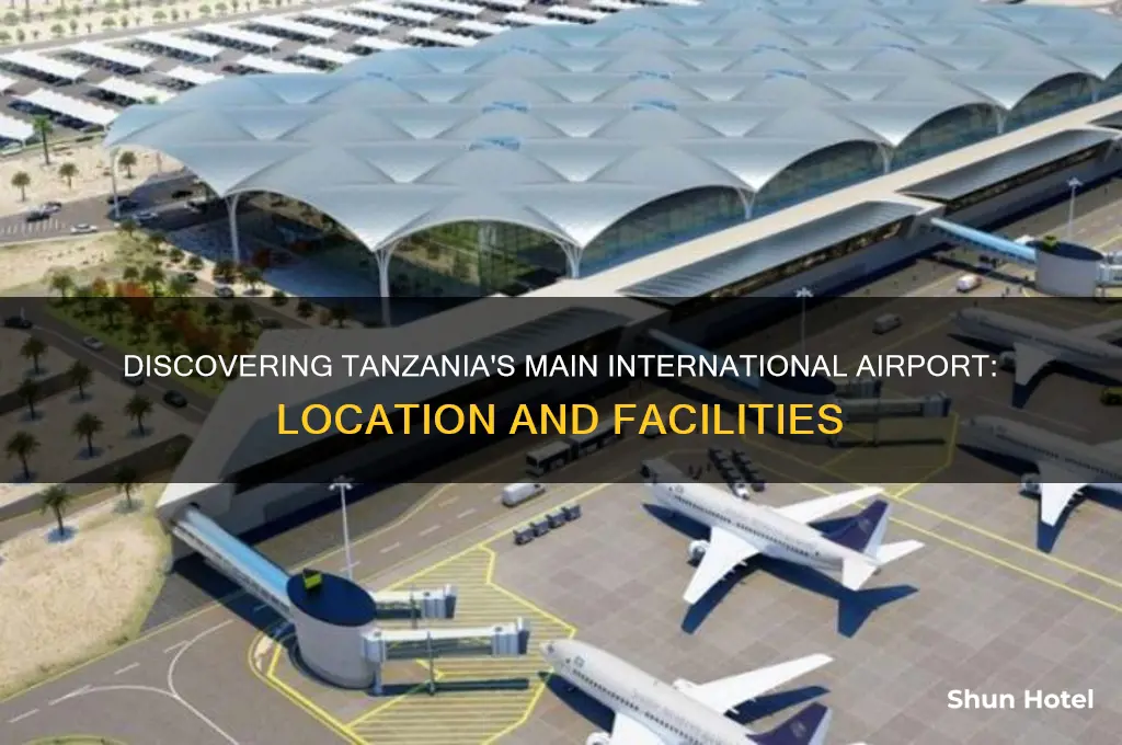 what is the international airport in tanzania