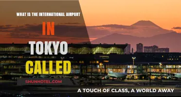 Discovering Tokyo's Main International Airport: Name and Location Guide