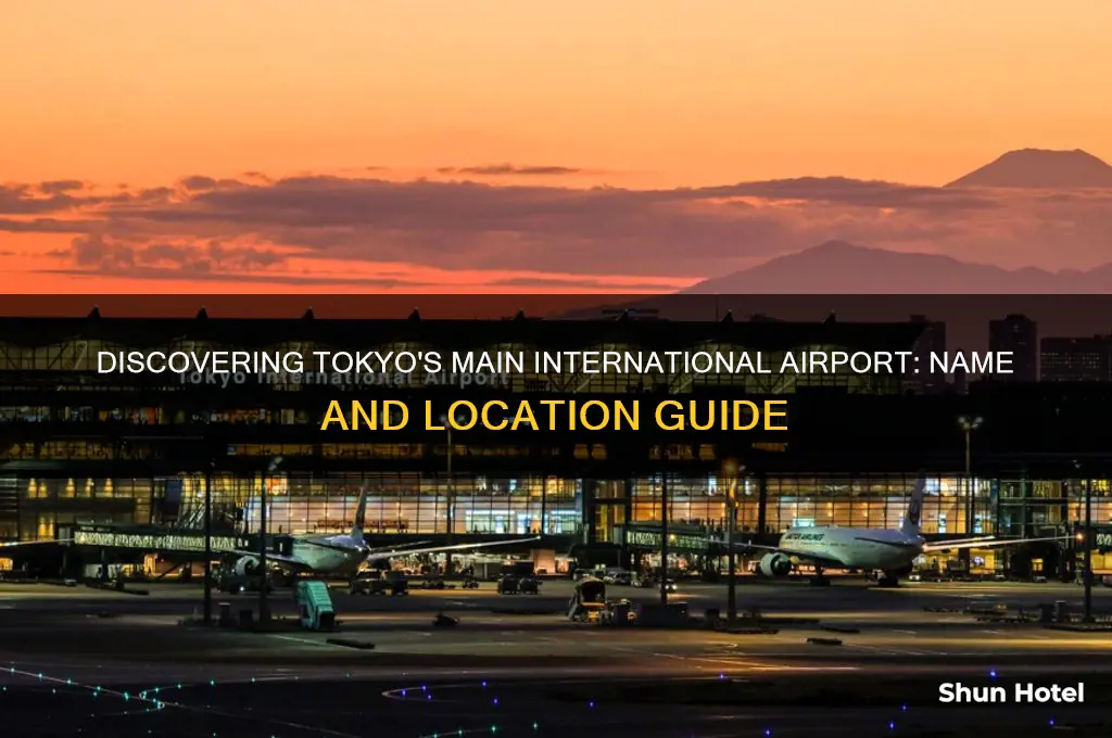 what is the international airport in tokyo called