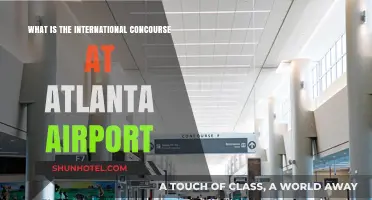 Exploring Atlanta Airport's International Concourse: A Traveler's Guide