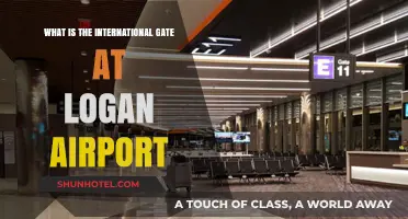 Exploring Logan Airport's International Gate: A Traveler's Guide