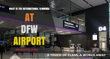 Exploring DFW Airport's International Terminal: A Comprehensive Guide