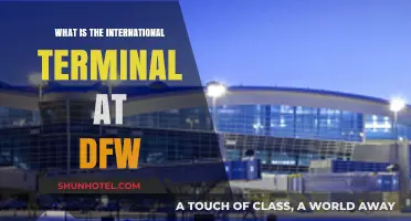 Exploring DFW Airport's International Terminal: A Comprehensive Guide