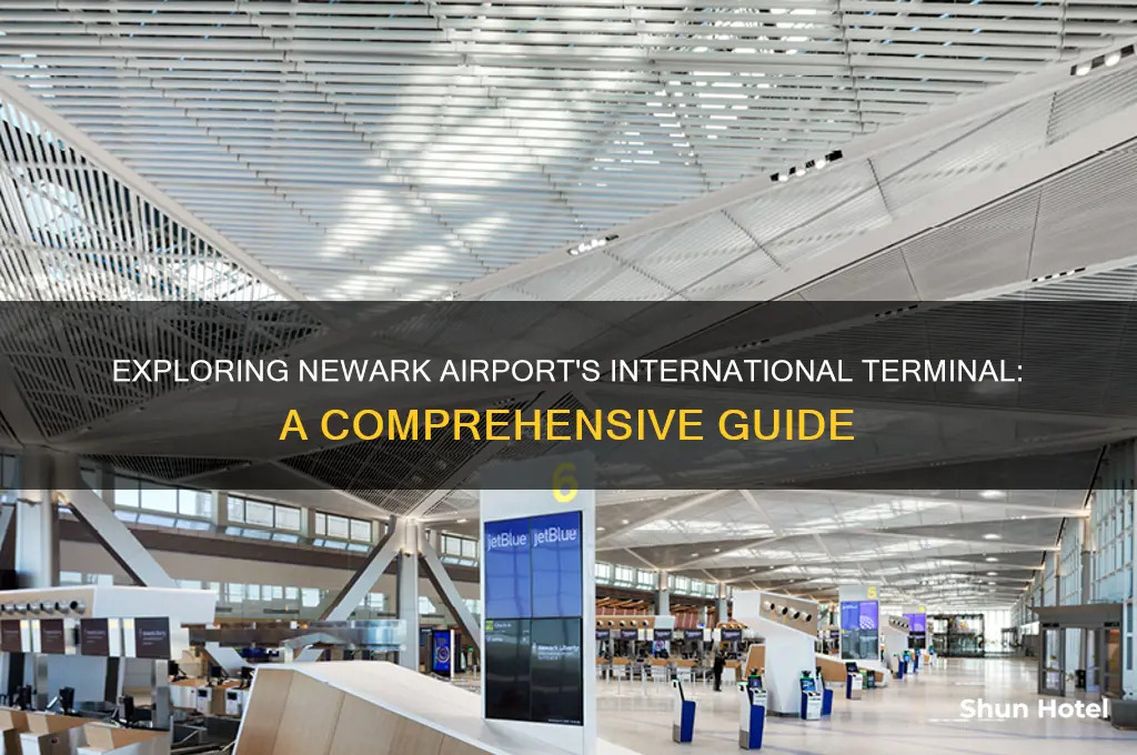 what is the international terminal at newark airport