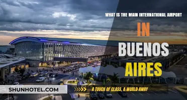 Discover Buenos Aires' Main International Airport: A Traveler's Guide