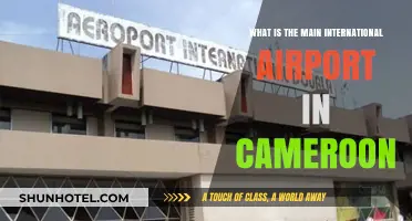 Discovering Cameroon's Main International Airport: A Comprehensive Guide