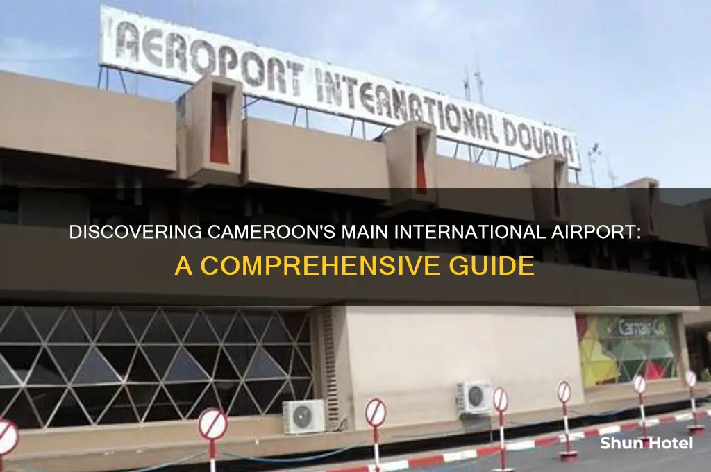 what is the main international airport in cameroon