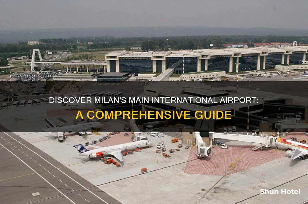 what is the main international airport in milan