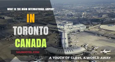 Toronto's Main International Airport: All You Need to Know