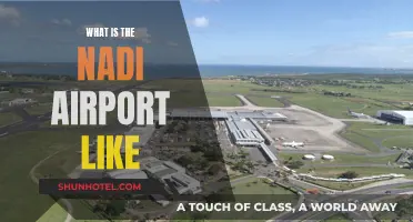Exploring the Vibrant Nadi Airport