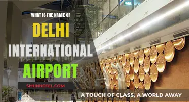 Delhi's Gateway: Unveiling the Name of Its International Airport