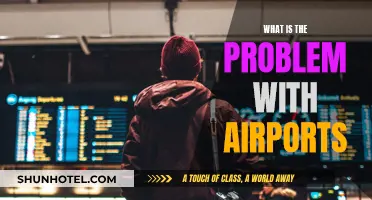 Airports: Convenience vs. Chaos and Congestion