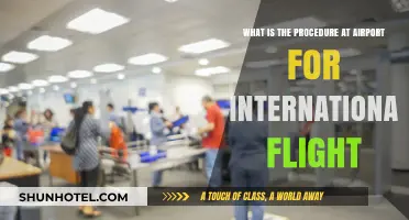 Navigating International Flights: A Step-by-Step Airport Procedure Guide