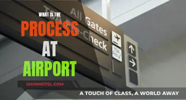 A Smooth Journey: Navigating Airport Processes