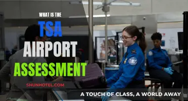 TSA Airport Assessment: What's the Deal?