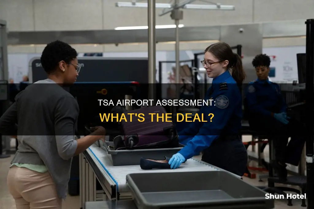 what is the tsa airport assessment