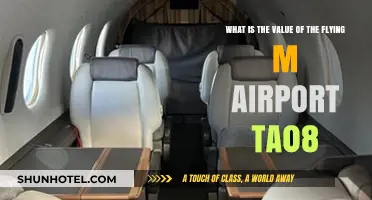 Exploring the Economic and Strategic Value of Flying M Airport TA08