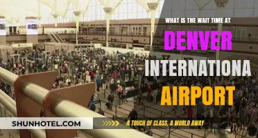 Denver International Airport Wait Times: What to Expect When Traveling